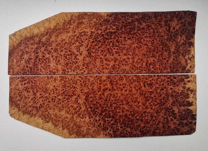 Loupe d'Amboine 48 x 16 cm L30 