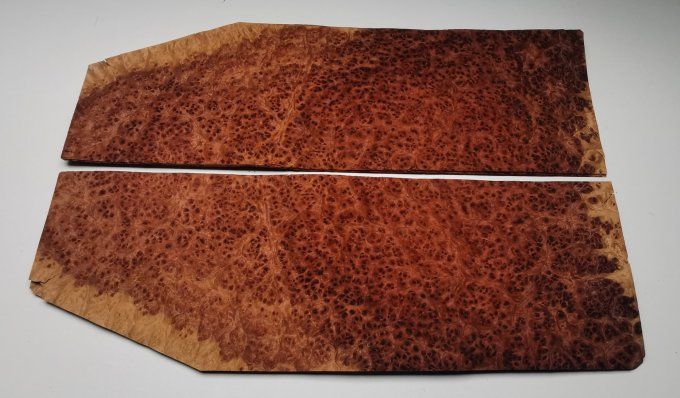 Loupe d'Amboine 48 x 16 cm L30 
