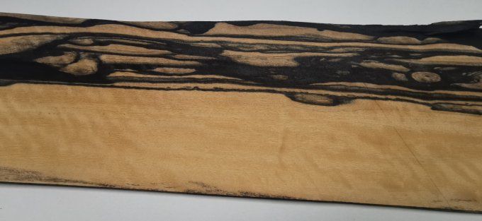 Ebène blanc 52 x 13 cm L115