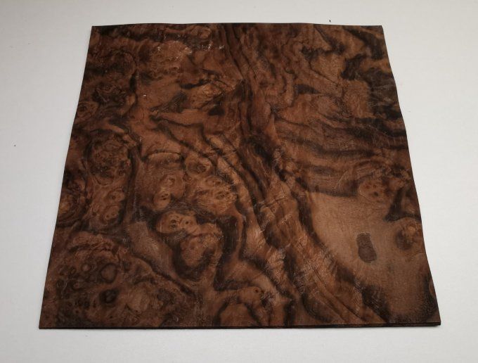 Lot 5x Loupe de Noyer 29 x 29 cm L86