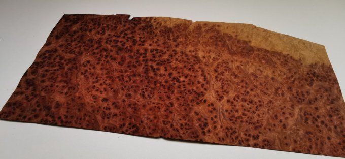 Loupe d'Amboine 40 x 15 cm L36