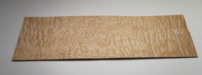 Frêne pommelé 65 x 19 cm L221