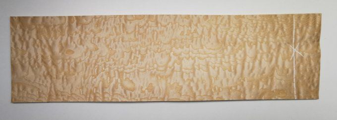 Frêne pommelé 65 x 19 cm L221