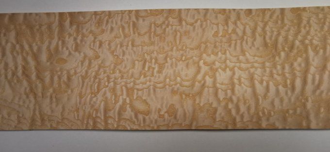Frêne pommelé 65 x 19 cm L221