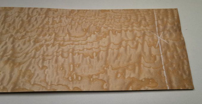 Frêne pommelé 65 x 19 cm L221