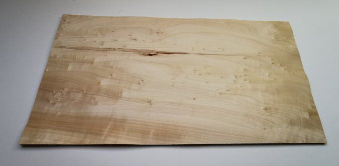 Peuplier 70 x 36 cm L356