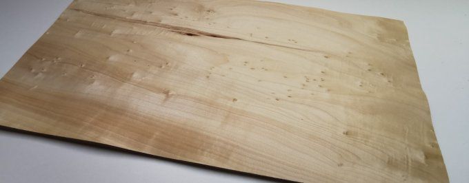 Peuplier 70 x 36 cm L356
