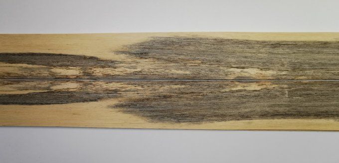 Koto bleuté 76 x 9 cm L11