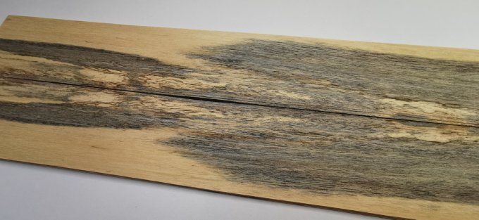Koto bleuté 76 x 9 cm L11