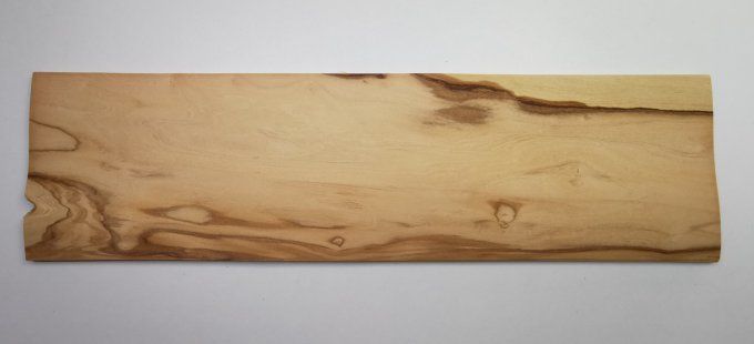 Olivier d'Italie 66 x 18 cm L120