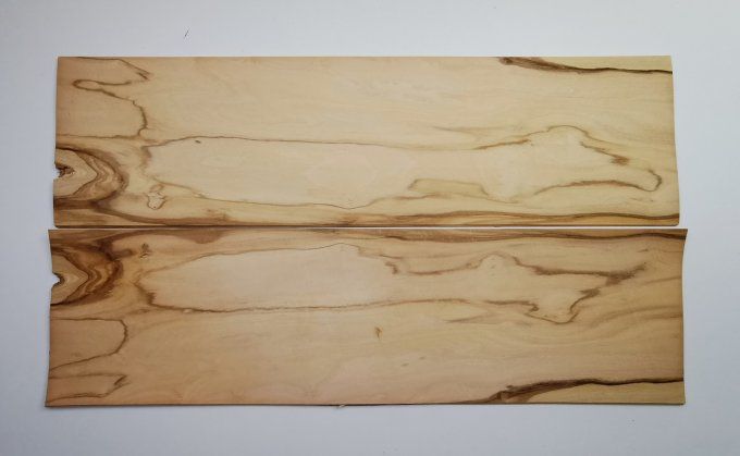 Olivier d'Italie 66 x 18 cm L120