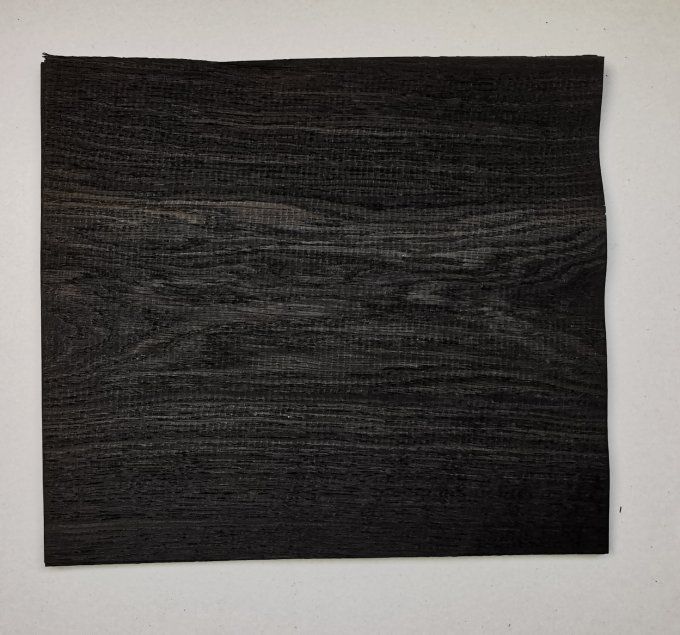 Chêne des marais  34 x 30 cm L87