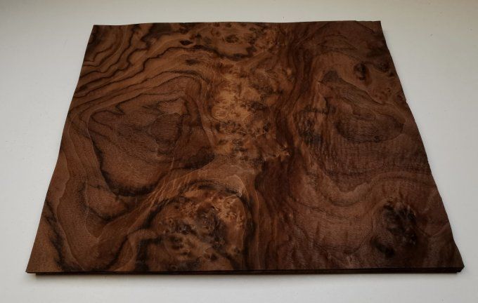 Loupe de Noyer 43 x 36 cm L75