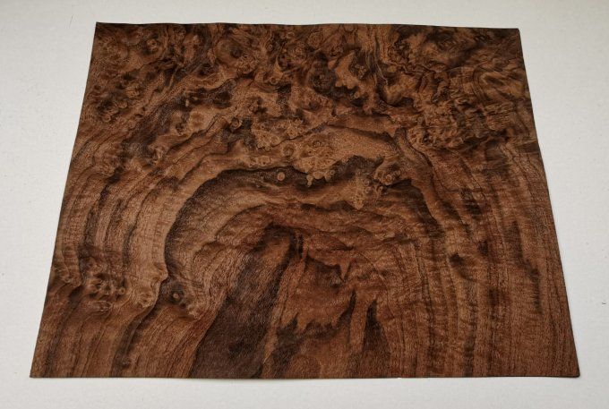Lot 3x Loupe de Noyer 45 x 35 cm L32
