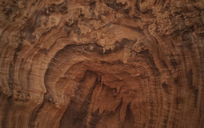 Lot 3x Loupe de Noyer 45 x 35 cm L32