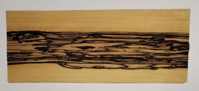 Ebène blanc 60 x 25 cm L10