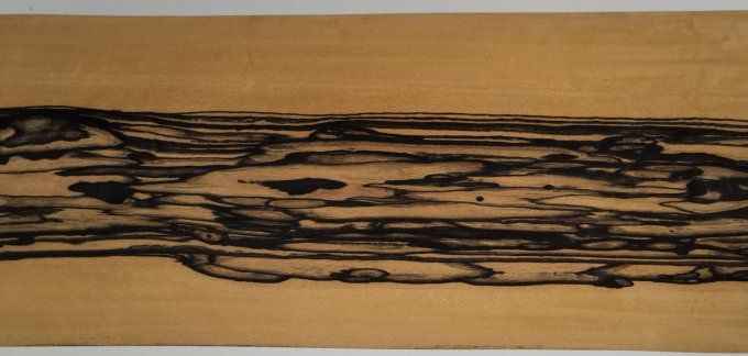 Ebène blanc 60 x 25 cm L10