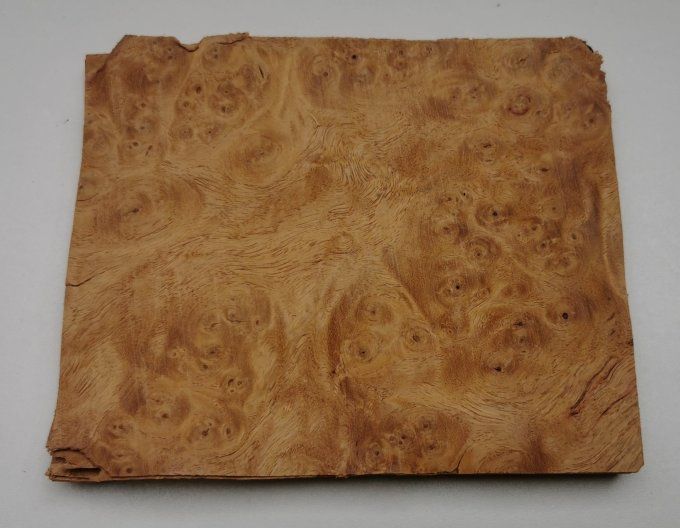 Lot 16x Loupe d'Amboine 15 x 13 cm L91