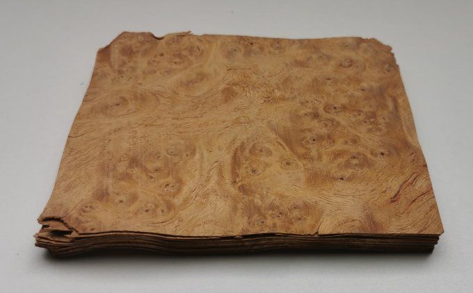 Lot 16x Loupe d'Amboine 15 x 13 cm L91