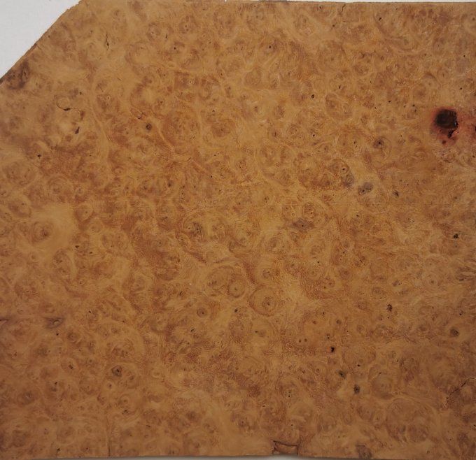Lot 11x Loupe d'Amboine 17 x 16 cm L80