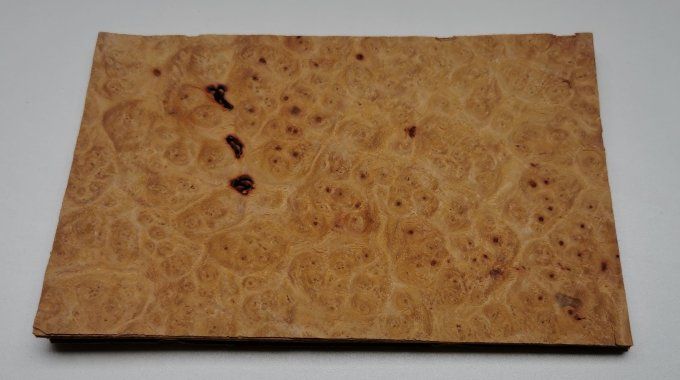 Loupe d'Amboine 20 x 14 cm L18