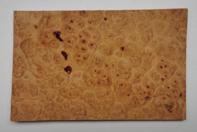 Loupe d'Amboine 20 x 14 cm L18