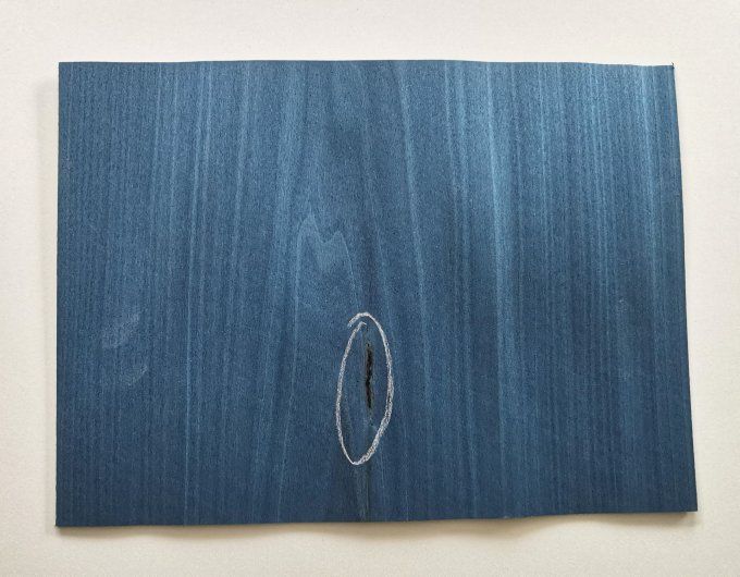 Lot 14 x Tulipier bleu lagon avec défauts  20 x 30 cm   