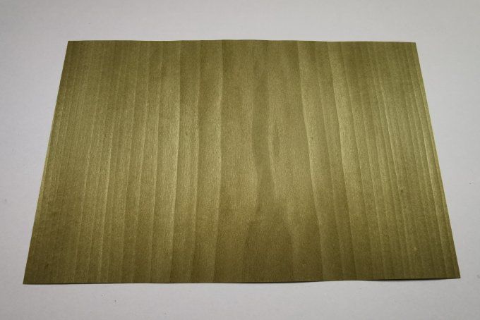 Tulipier vert olive 20 x 30 cm