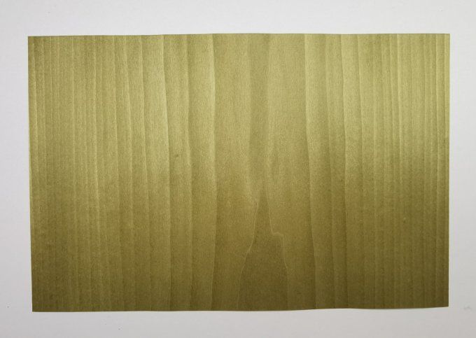 Tulipier vert olive 20 x 30 cm