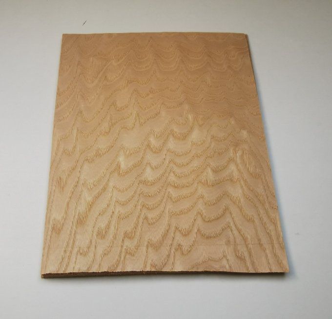 Frêne ramageux 35 x 27 cm L82