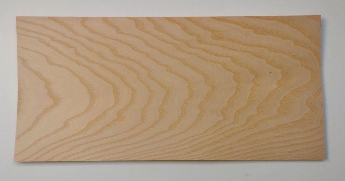 Lot 10x Frêne ramageux 35 x 27 cm L67