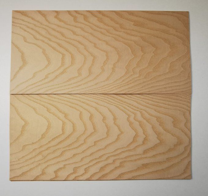 Lot 10x Frêne ramageux 35 x 27 cm L67