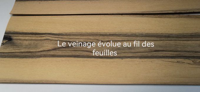 Ebène blanc 60 x 20 cm L10