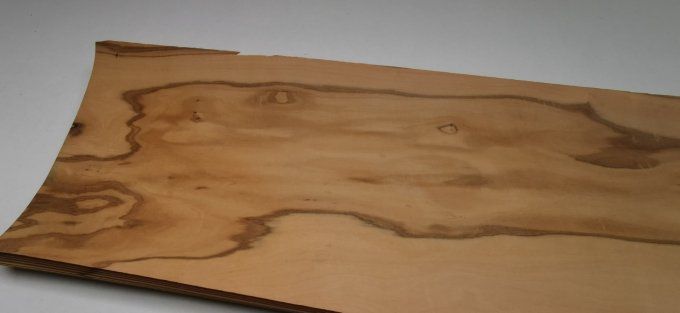Olivier d'Italie  72 x 18 cm L127