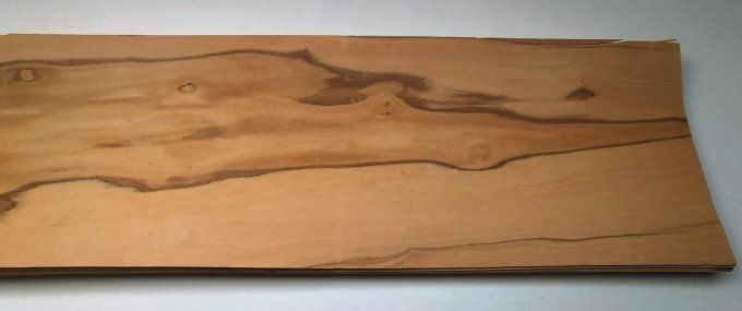 Olivier d'Italie  72 x 18 cm L127