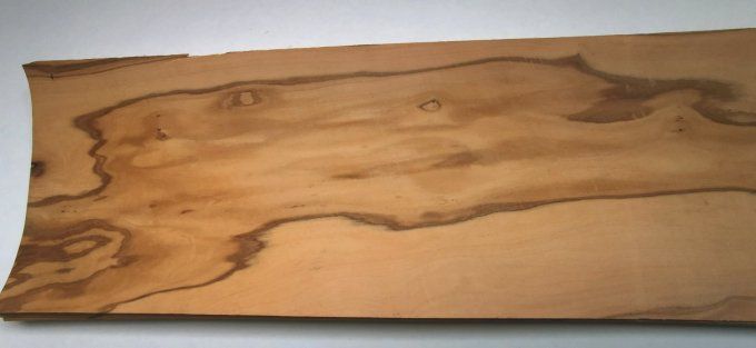 Olivier d'Italie  72 x 18 cm L127