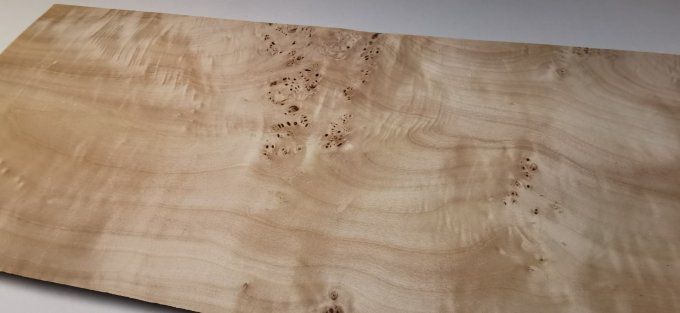 Peuplier 72 x 28 cm L28
