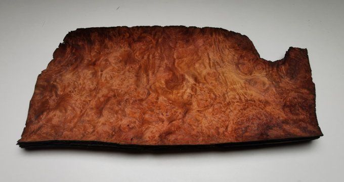 Lot 10 feuilles de Loupe d'Amboine 32 x 18 cm L208