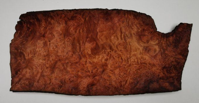 Lot 10 feuilles de Loupe d'Amboine 32 x 18 cm L208