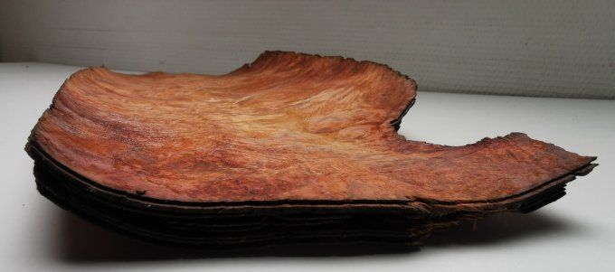 Lot 10 feuilles de Loupe d'Amboine 32 x 18 cm L208