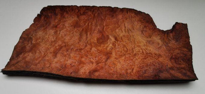 Lot 10 feuilles de Loupe d'Amboine 32 x 18 cm L208