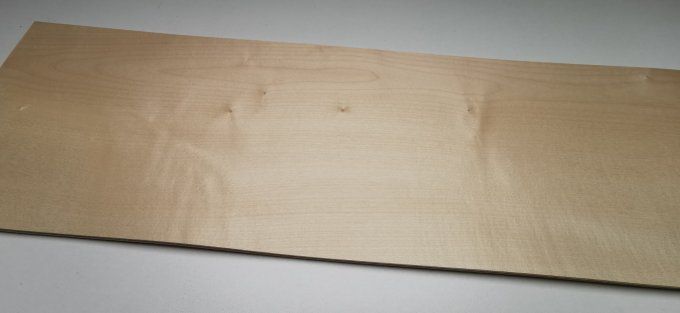 Sycomore / Erable 78 x 24 cm L63
