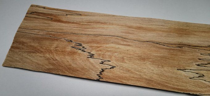 3x Hêtre truffé 63 x 15 cm L229