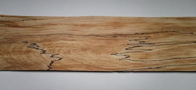 3x Hêtre truffé 63 x 15 cm L229
