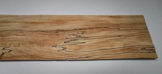 3x Hêtre truffé 63 x 15 cm L229