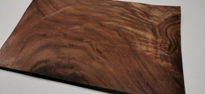 Lot 10x Loupe de Noyer 27 x 18 cm L120