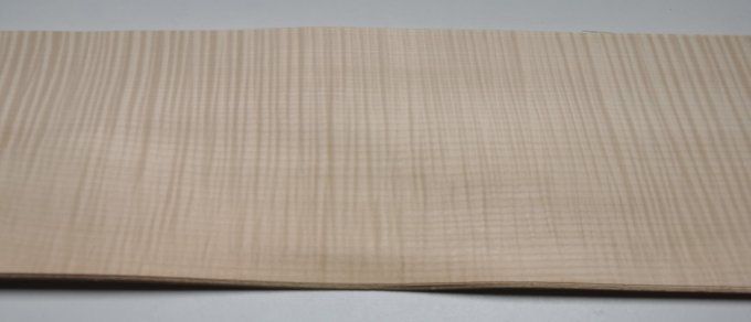 Lot 7x Erable ondé 52 x 16 cm L37