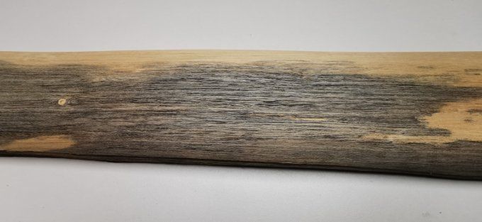 Lot 7x Koto bleuté 76 x 9 cm L54
