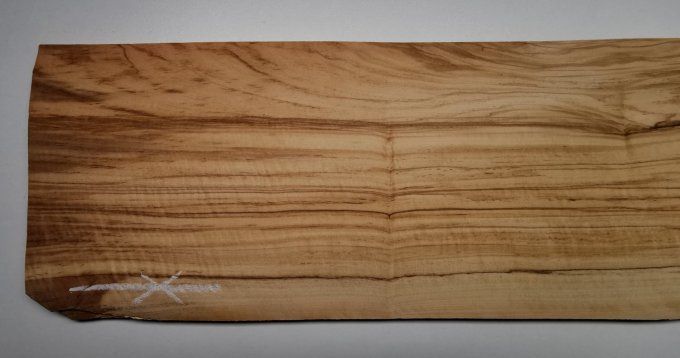 Olivier d'Italie  66 x 17 cm L59