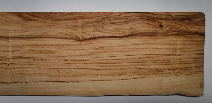 Olivier d'Italie  66 x 17 cm L59